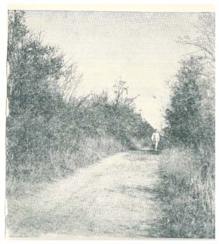 Cherokee Path