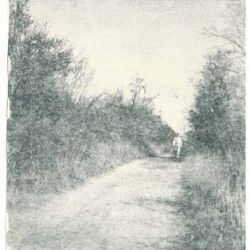 Cherokee Path